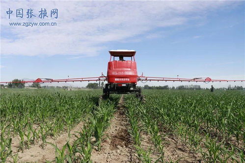 甘州 现代机械助力农业生产